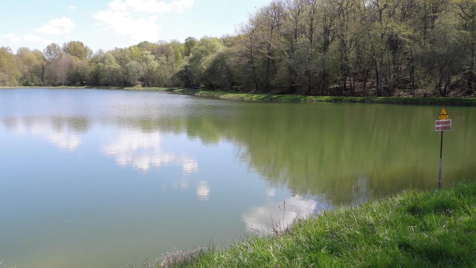 Lake view