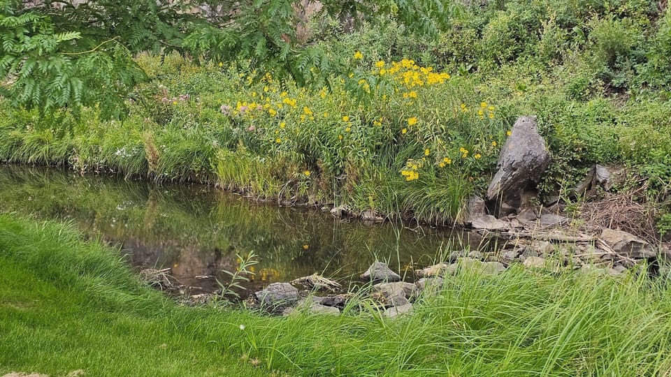 creek20at20creekside