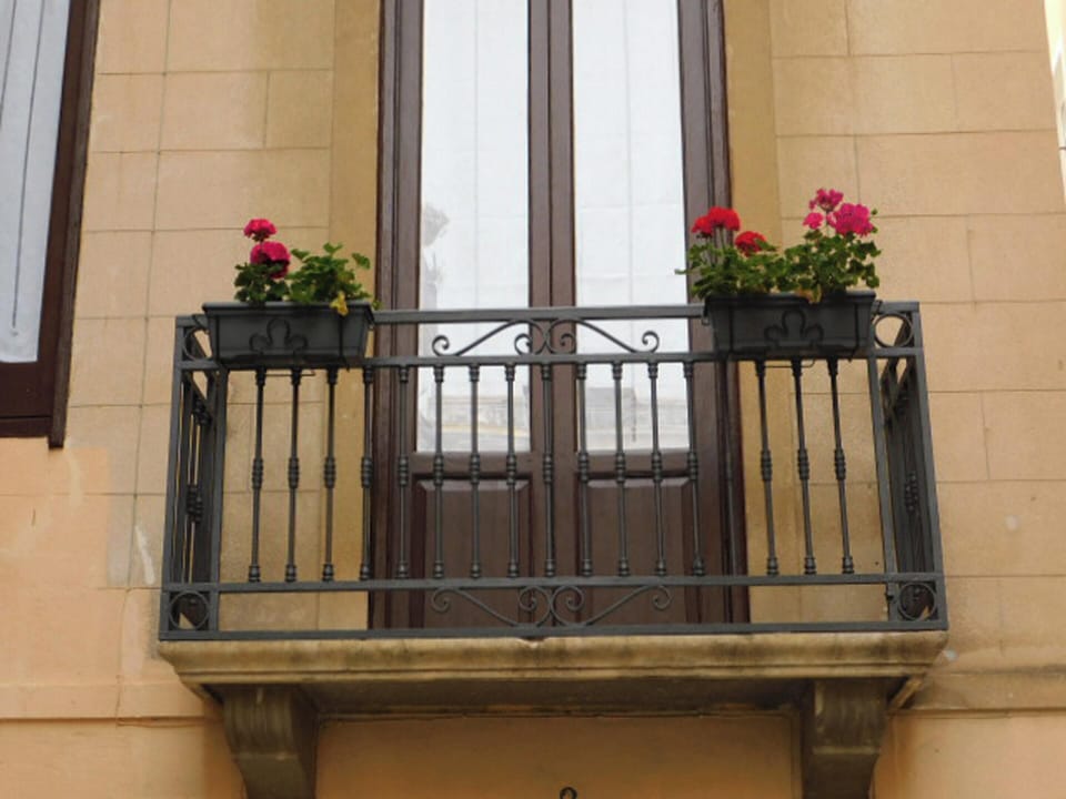 Front view