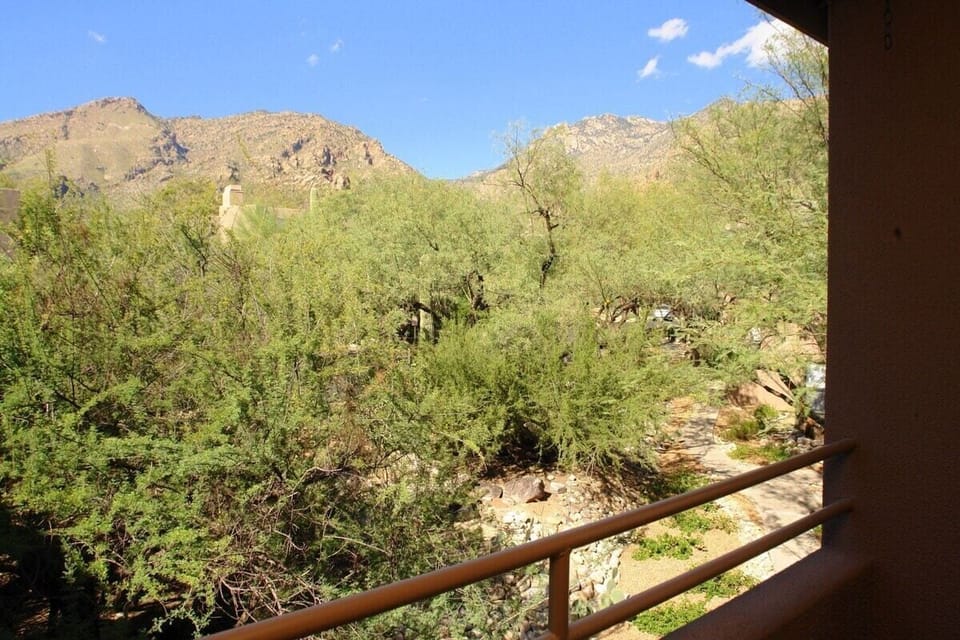 view from balcony