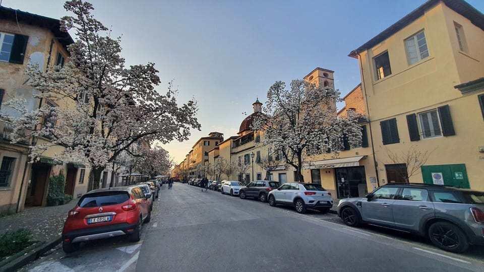Mode Of Transport, Car, Road Surface, Automotive Exterior, Road, Neighbourhood, Residential Area, Town