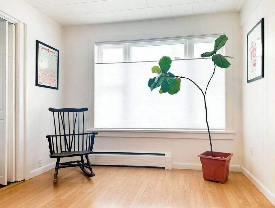 lots of natural light in this living room