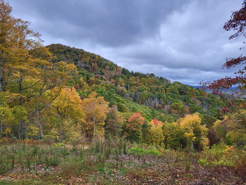Fall Colors at Echota on the Ridge Neighborhood 