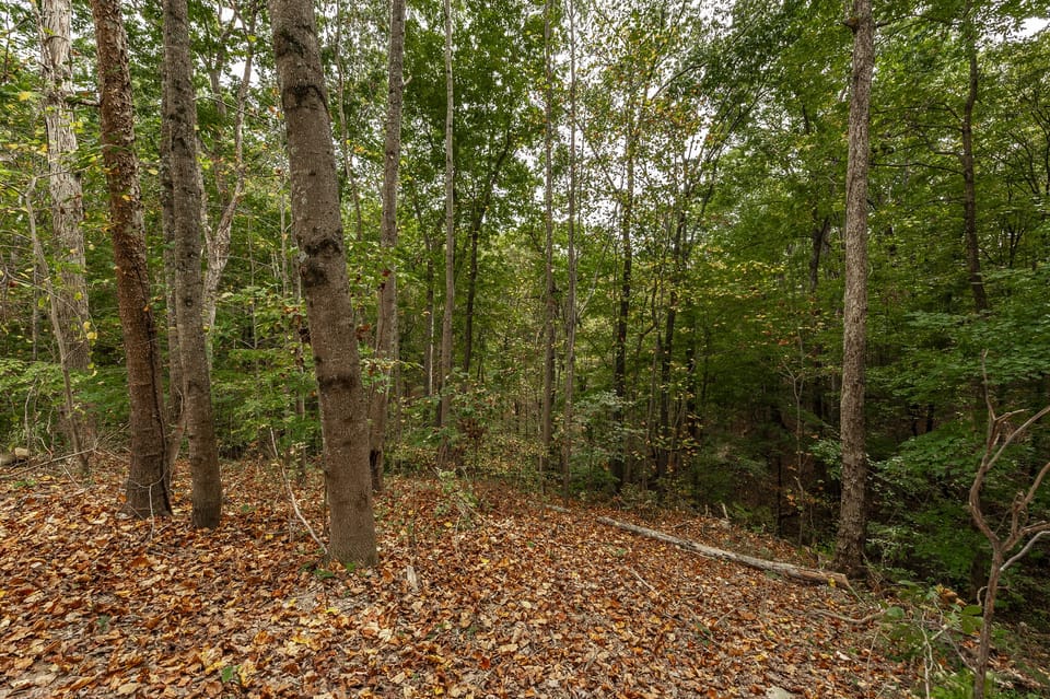 4.5 of Gatlinburg-like acres