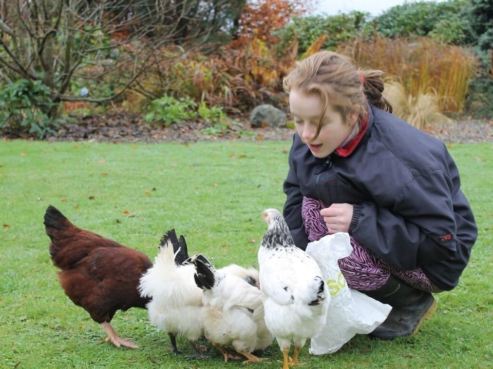 Our Freerangers!!