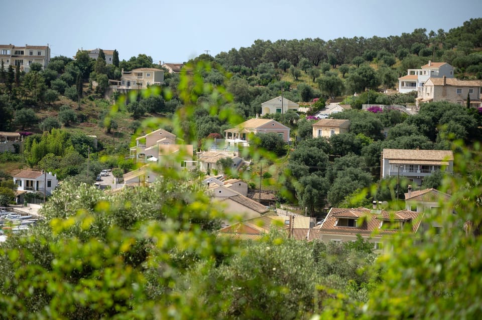 View of the village from a watching spot