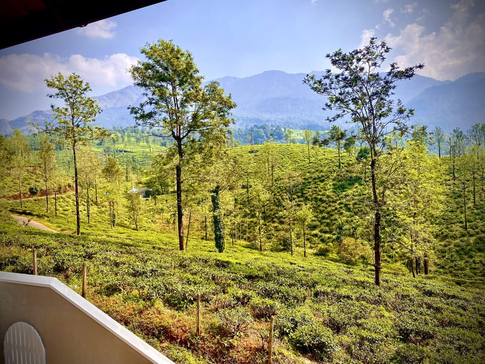 more views of the chembra peak