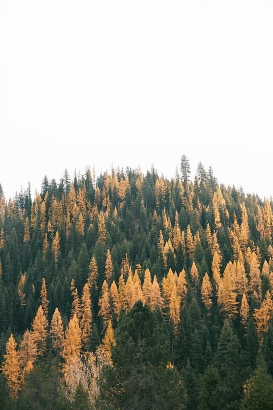 Beautiful Cascade