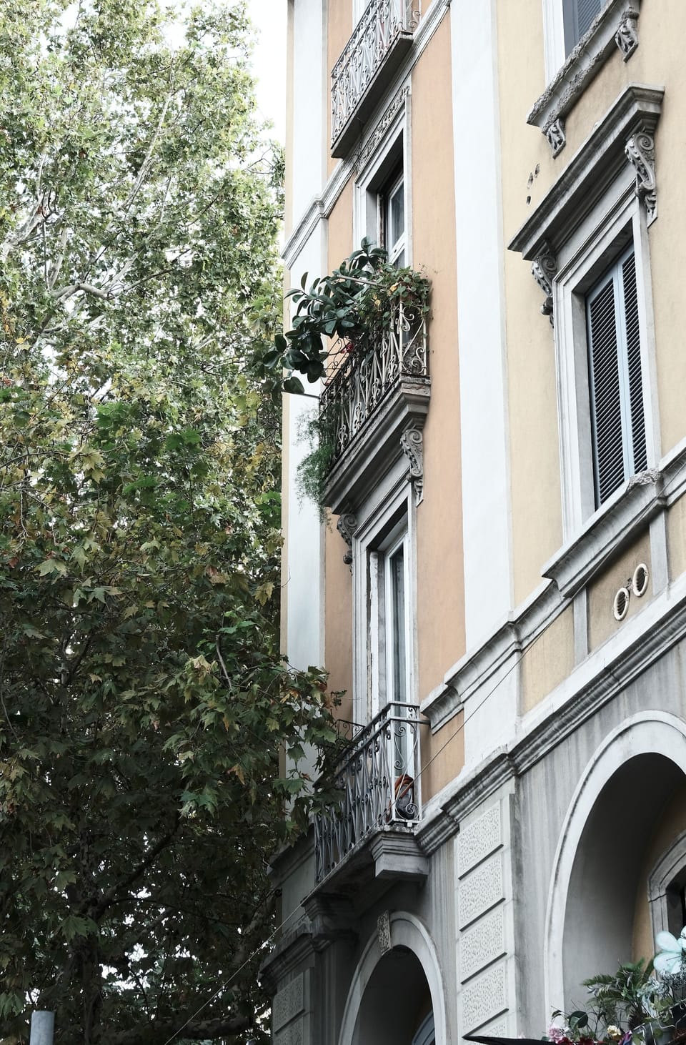 Exterior detail
