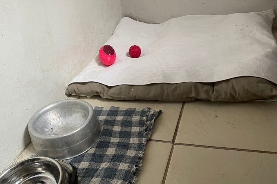 Espaço pet