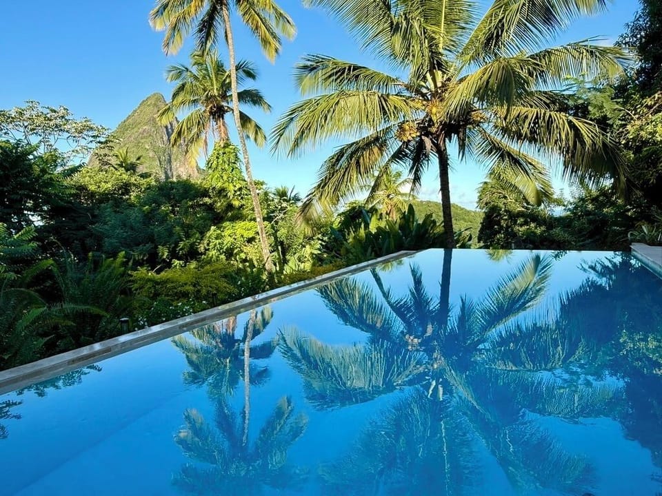 37' private saltwater pool with double infinity edge and piton view