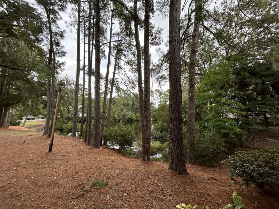 View from Porch - Lagoon 