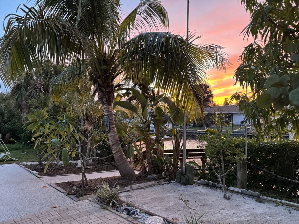 Backyard/Canal
