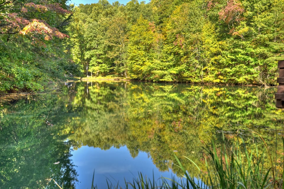 Such a cute little pond, perfect for floating around or fishing