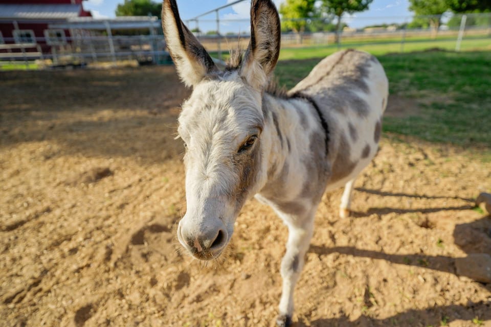 21-web-or-mls-2023-10-12 21.27