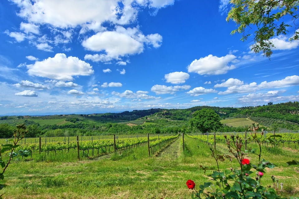 Scenic View