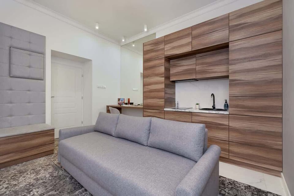 A different angle of the living room, highlighting the grey sofa, a large wooden partition, and an air conditioner.
