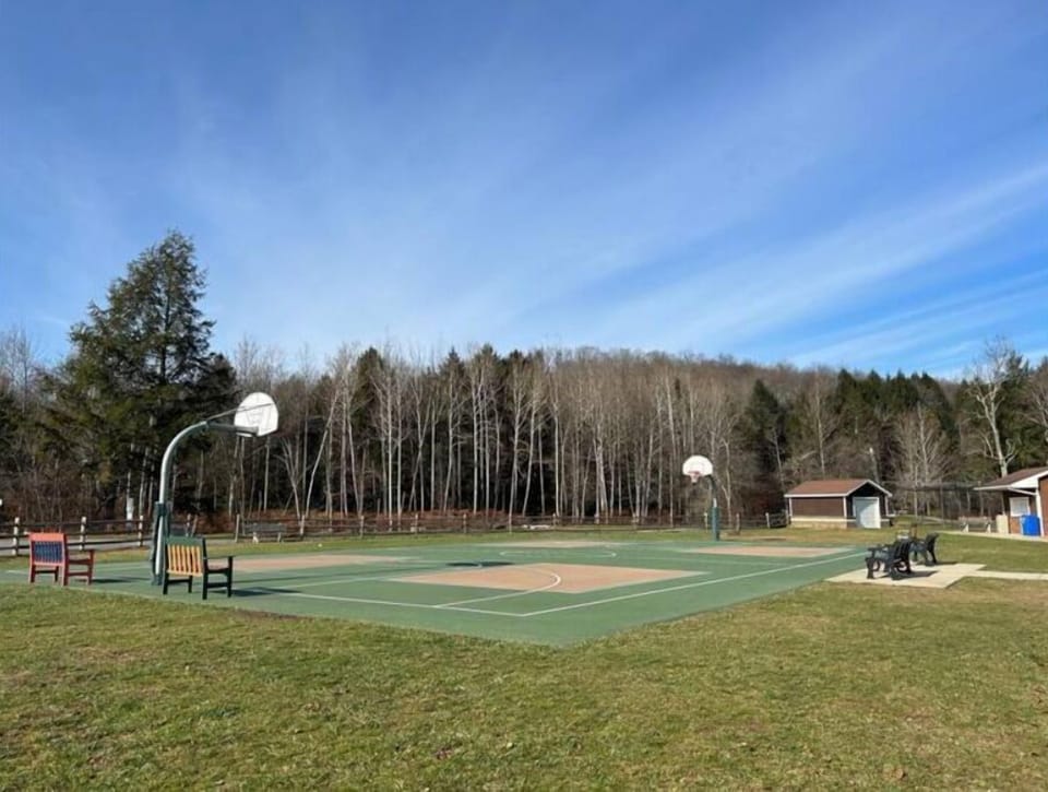 Sport court