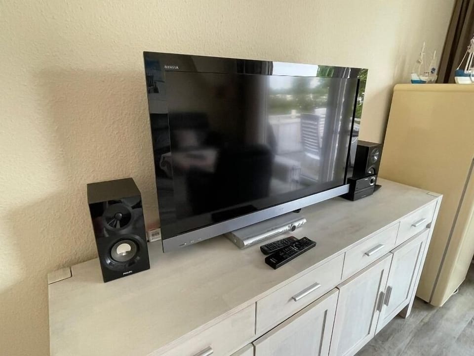 Television