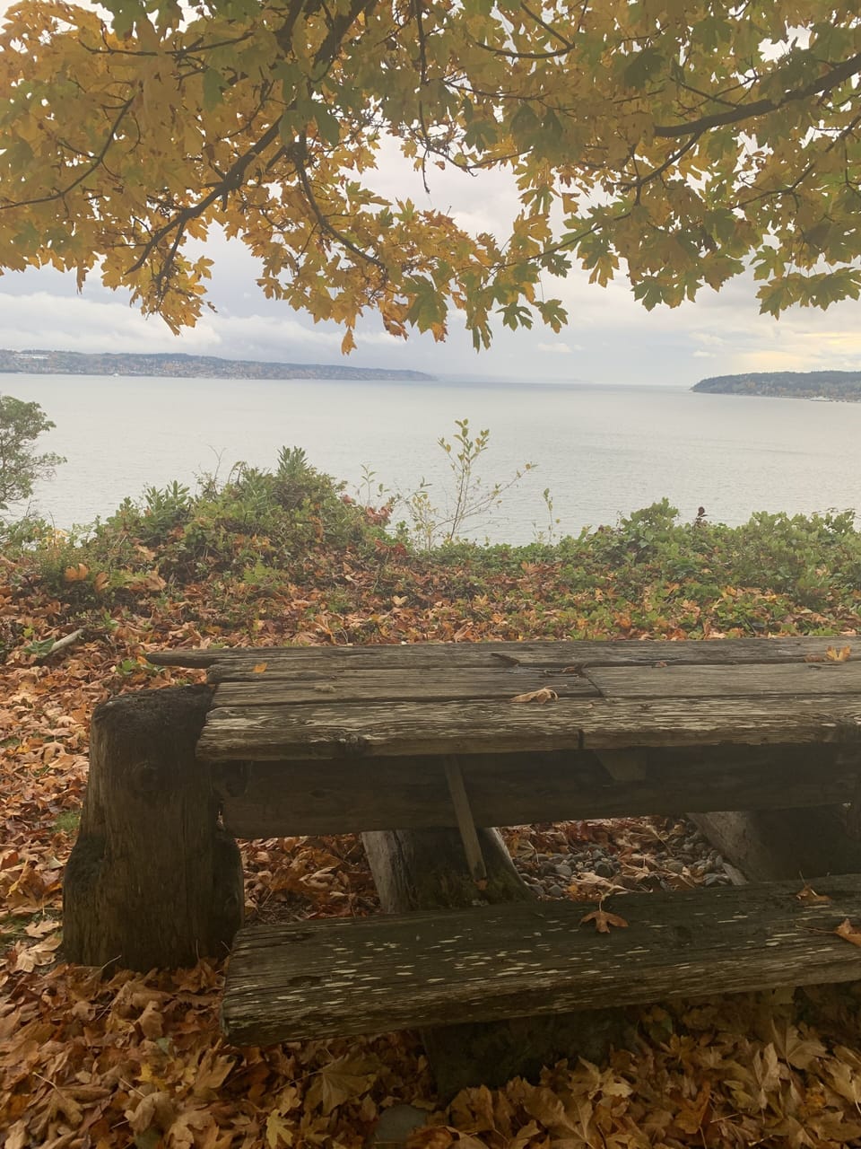View from property