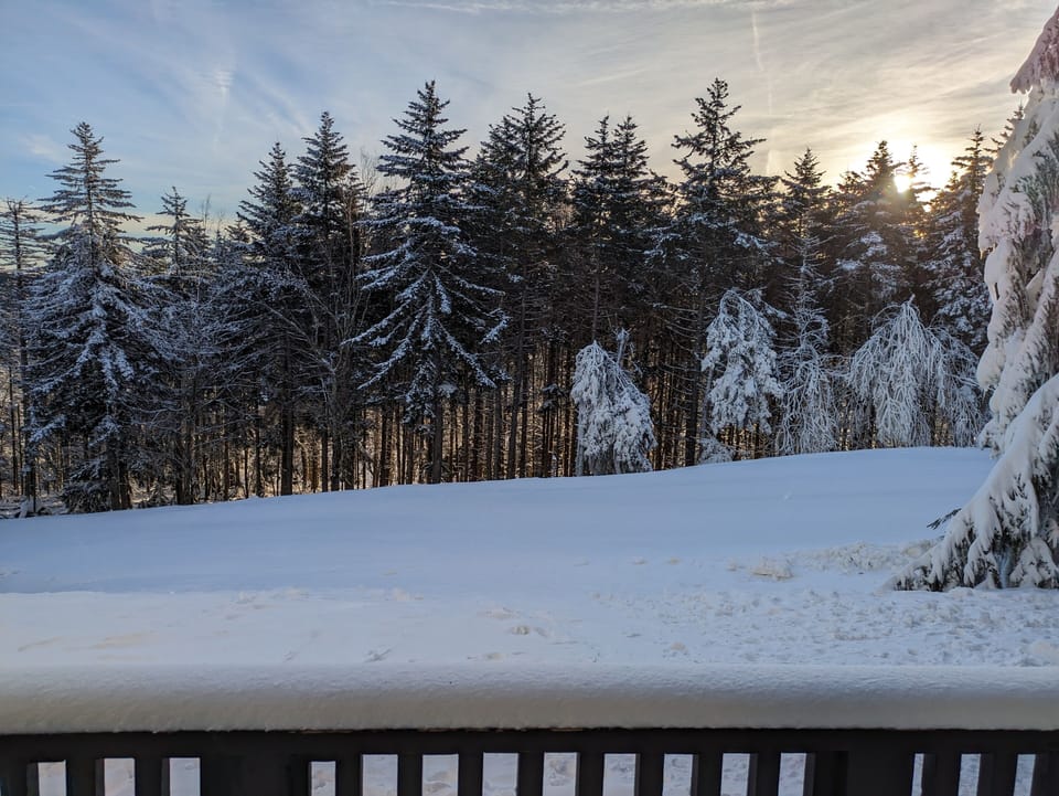 View of the Green Whistlepunk slope from the back porch.
