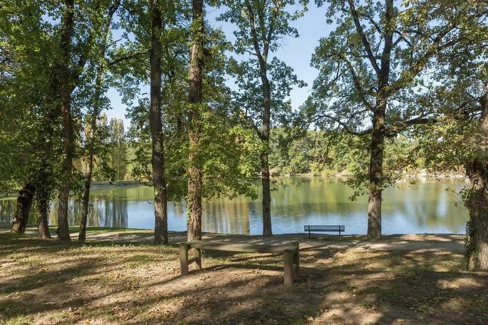Lake view