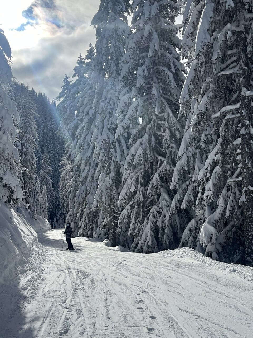 Snow and ski sports