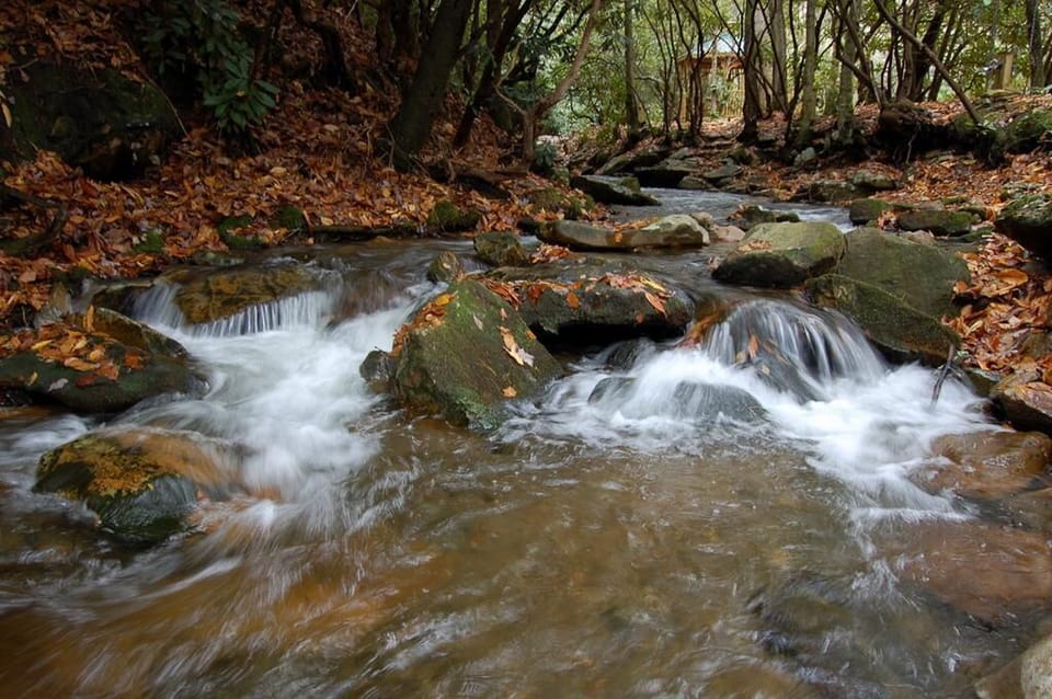 White water creek at your doorstep