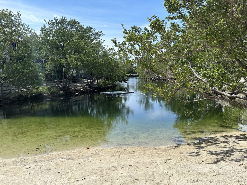 One of a kind Saltwater swimming lagoon steps from unit. Kayaking and relaxing.