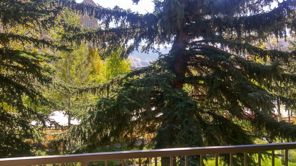 View from balcony
