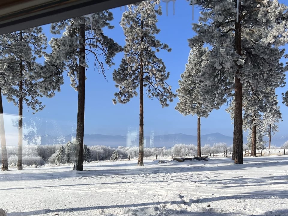 View from property