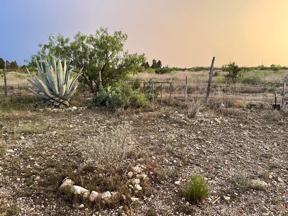 property grounds and native plants