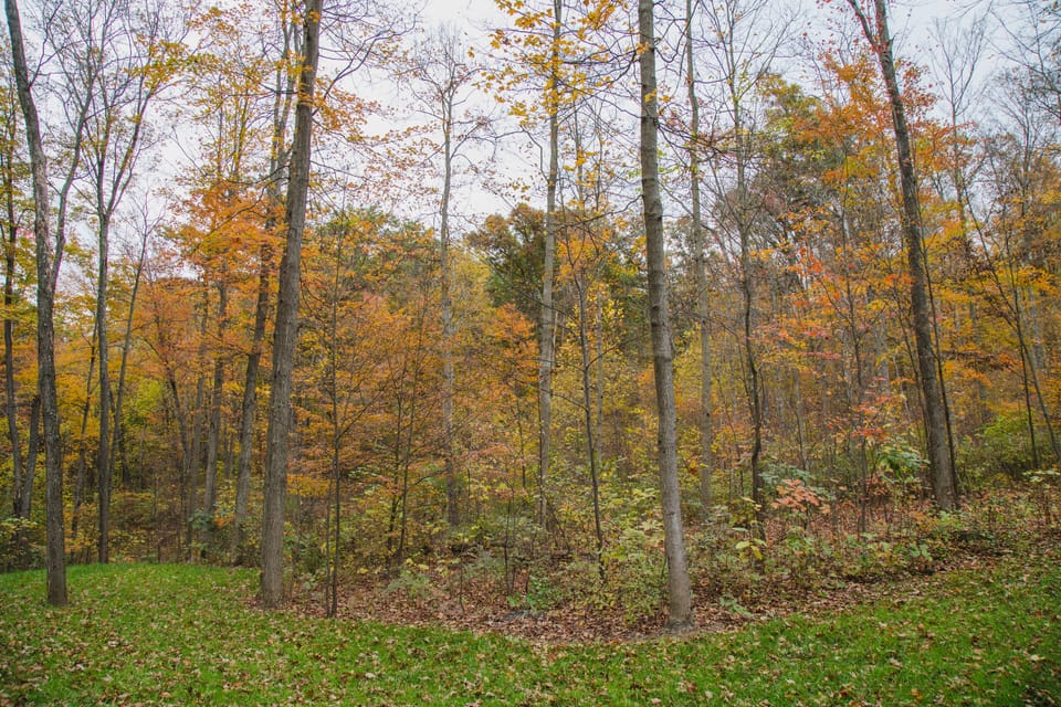 Walk down the road and connect to the Clear Fork Valley Scenic Trail (CFVST) It's a natural corridor of hiking trails located in southern Richland County.  The trail meanders through over 600 acres of nature preserves between Malabar Farm and the Richland B&O Trail. 