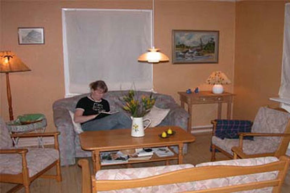 livingroom with open fire in holiday home