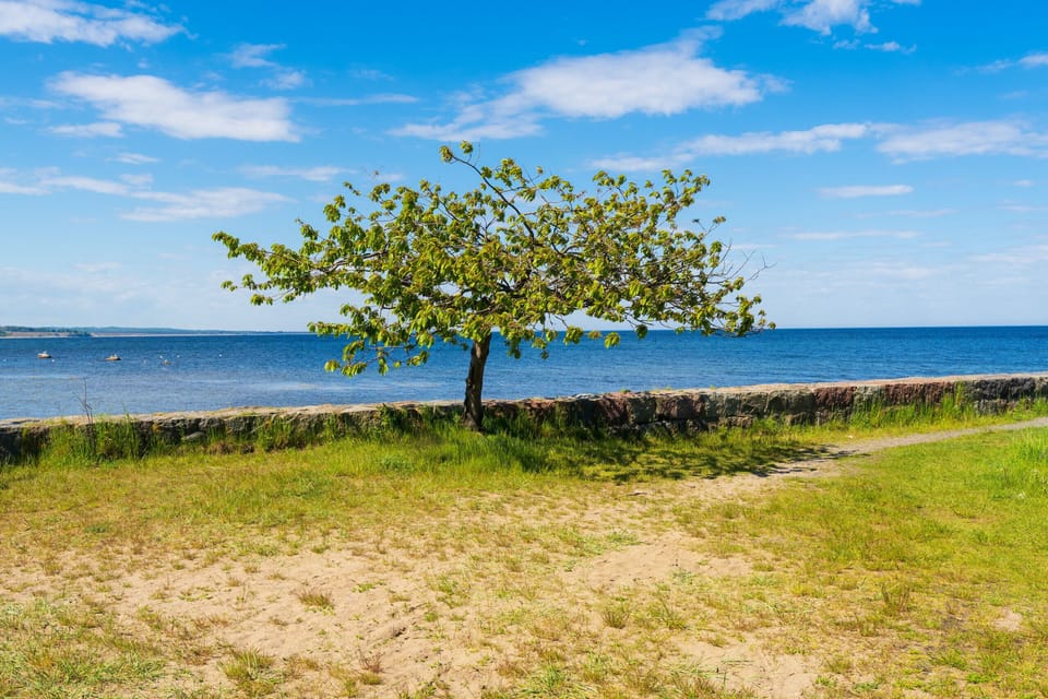 Impression of the nearby beach at Kivik