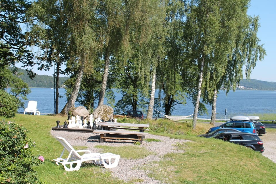 View from the porch