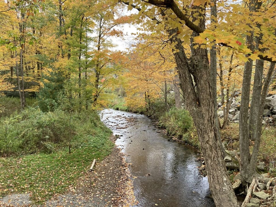 River in Front of Lower Cabins