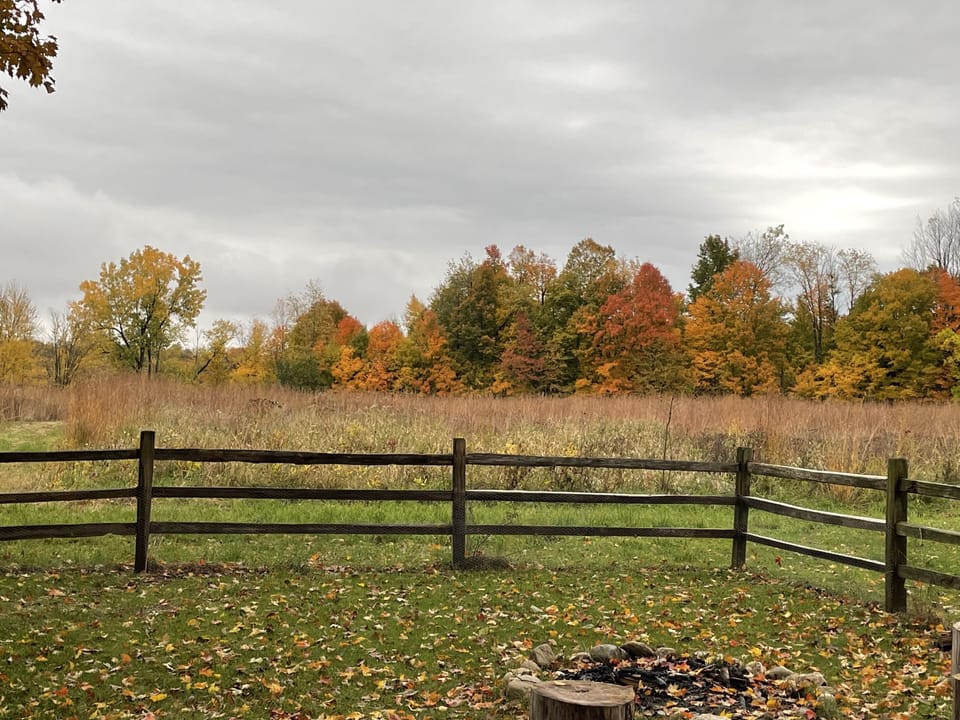 More back yard with fire pit