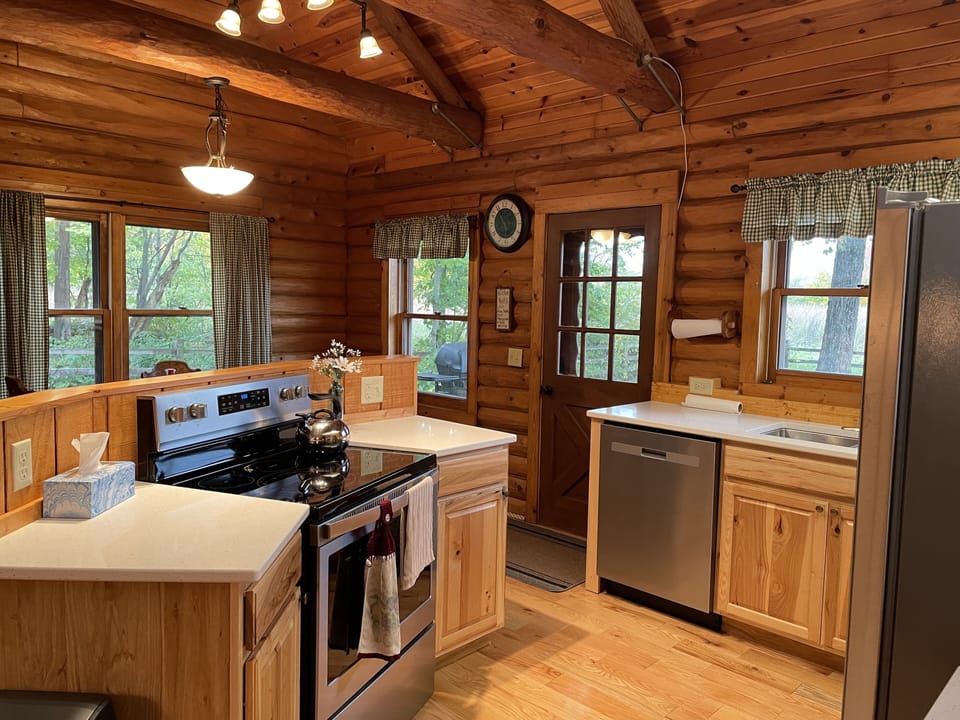 Electric stove and dishwasher