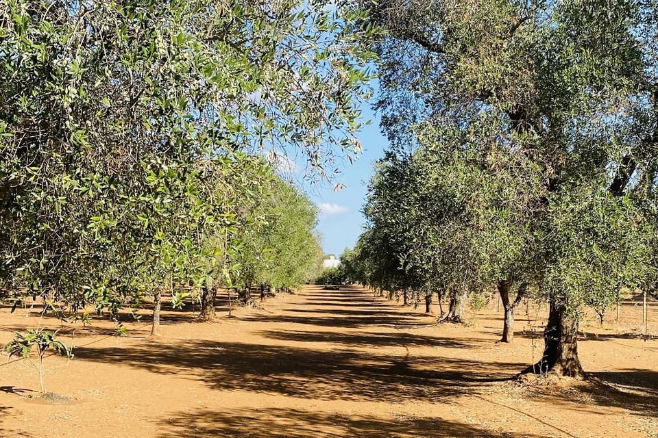 Surroundings [summer] (1-5 km)