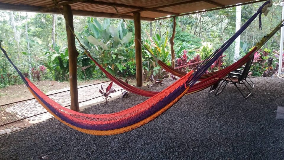 Hammocks
