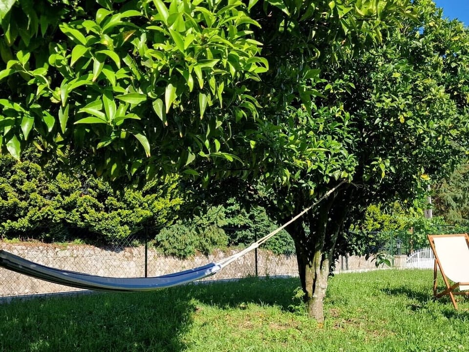 Jardim e cama de rede