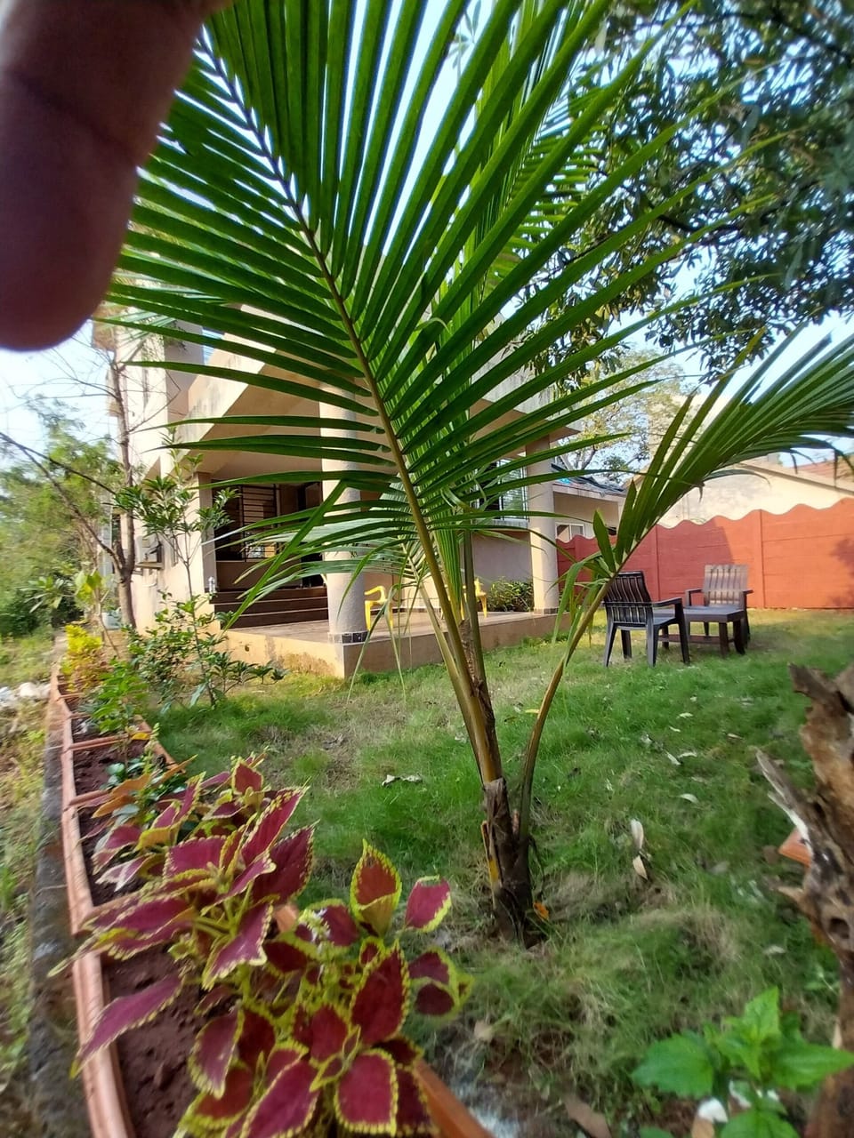 Terrace/patio