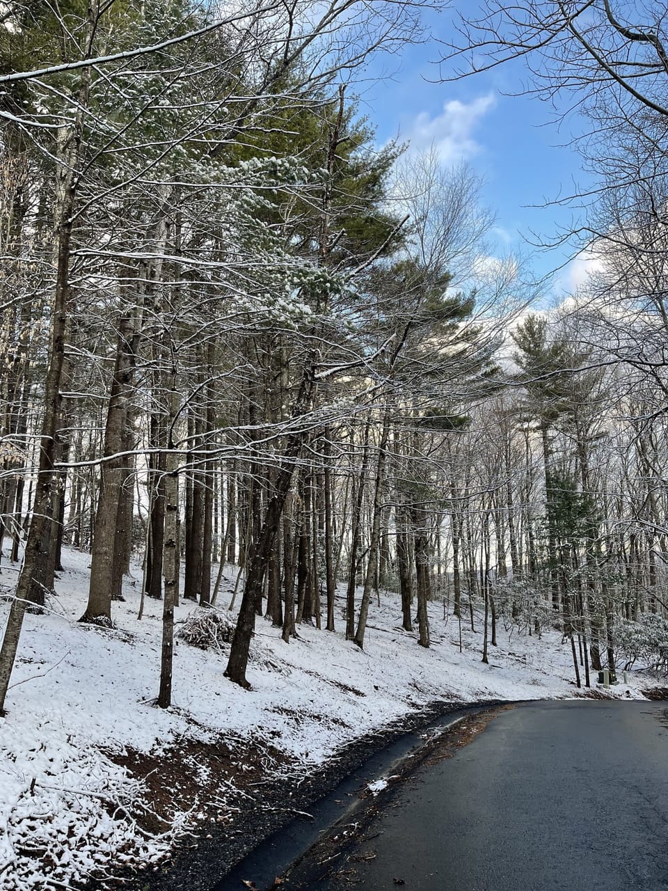 Snow and ski sports