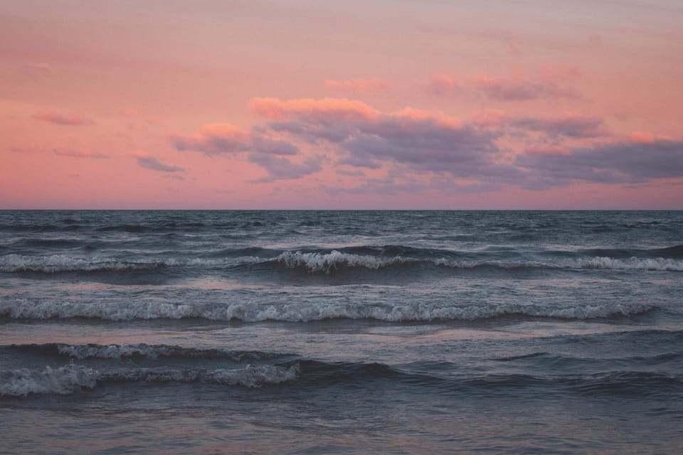 Image 29