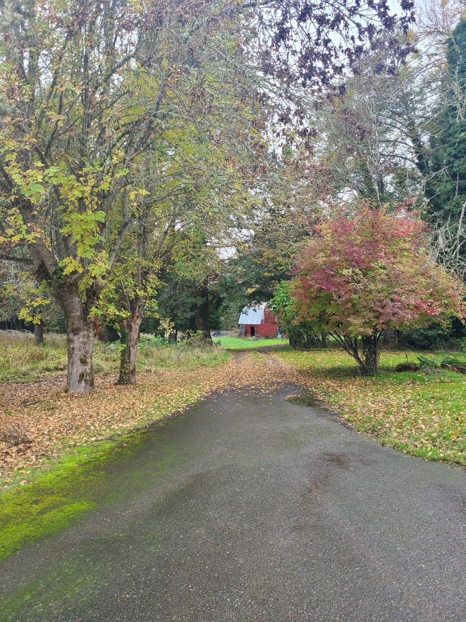 This is the driveway.