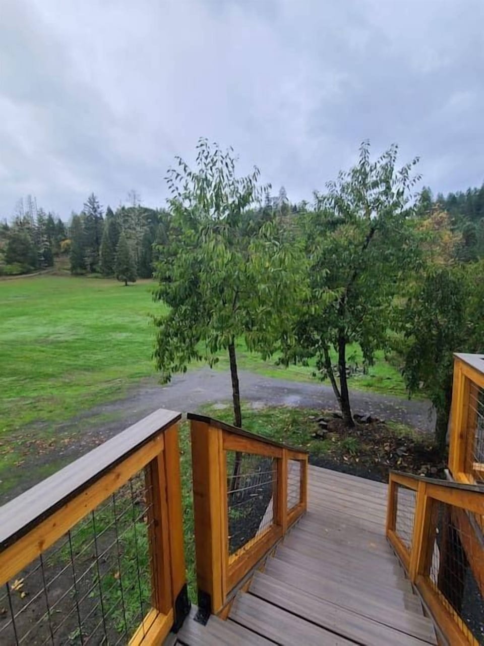This is the view from the stairs.