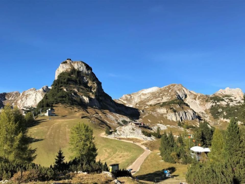 View