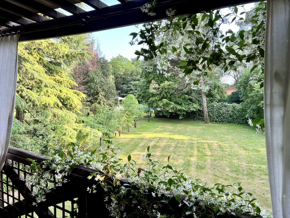 View of the garden from the big terrace where you can also sit and relax 