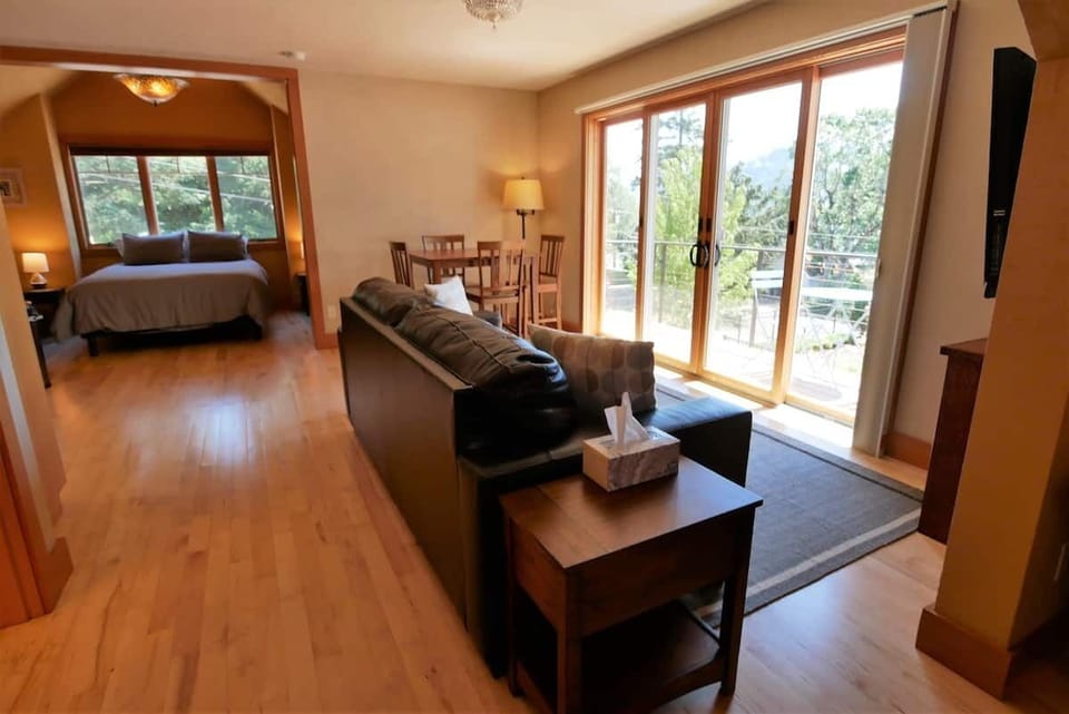 Studio living room and bedroom in the back